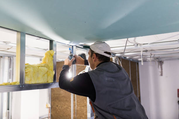 Best Commercial Insulation in Punaluu, HI